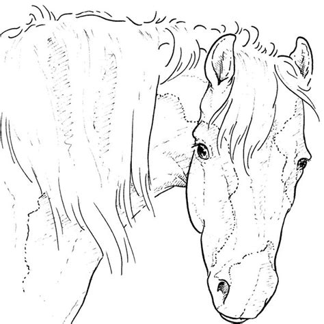 Hartstikke leuk voor als je van paarden houdt. Paarden Kleurplaat Dieren Kleurplaat » Animaatjes.nl