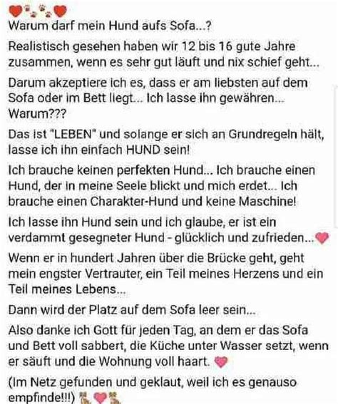 Dreckige sprüche sind eine hohe kunst, für die es zwei anhänger braucht. Pin von Beatrix auf guter Freund | Sprüche, Sprüche zitate ...