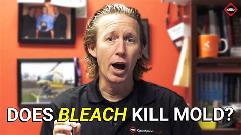 Bleach is a chemical that kills weeds and grass. Does Bleach Kill Mold? | How To Kill Mold In Crawl Space ...