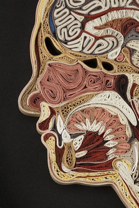 Sell art from your collection. lisa nilsson | Anatomy art, Paper art, Paper illustration