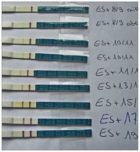 Sie zweifeln am ergebnis und wissen nicht, was sie als nächstes tun sollen? VON POSITIVEN SSW-TESTS - Erfahrungen - Baby, Kind und Meer