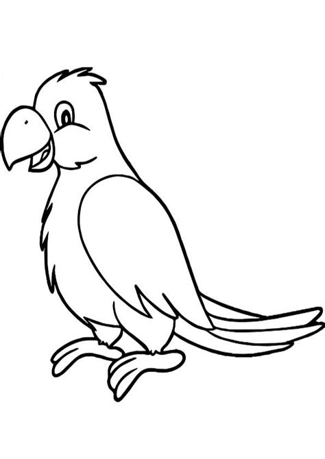 Vögel kaufen & verkaufen auf quoka mit wellensittich jung wir verkaufen junge und zuchtreife wellensittiche aus eigener zucht. Malvorlage Papagei Papagei Zum Ausmalen