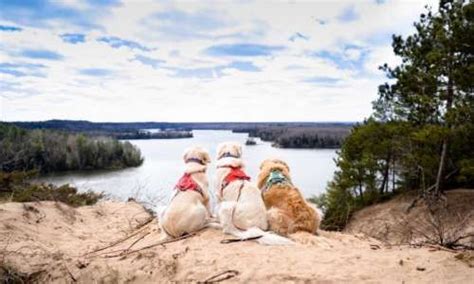 A sterile region on the shores of lake superior destined by soil and climate to remain forever a wilderness. Pet-Friendly Trails to Explore in 2020 | Scenic road trip ...