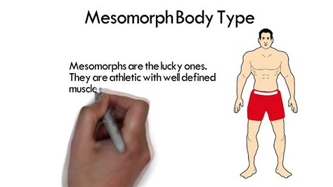 Check spelling or type a new query. Mesomorph Body Type - YouTube