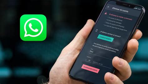 ¿cómo recuperar fotos o videos que borraste de whatsapp? WhatsApp | Qué hace con tu información cuando eliminas tu ...
