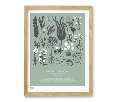She loved it, but didnt think it was seafoam green enough. 'British Coast: Plants' Print in Seafoam Green | Flower ...