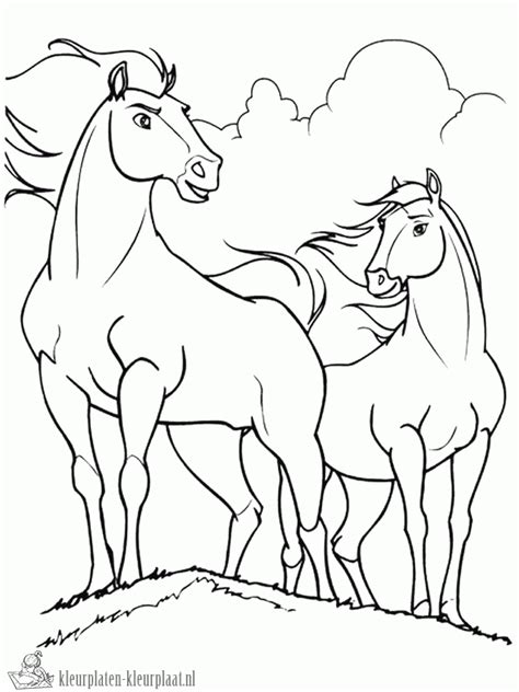 Kleurplaat nederlandse vereniging van orthoptisten kleurplaat paard met ruiter 25 coloring page. Kleurplaten spirit-stallion-of-the-cimarron | kleurplaten ...