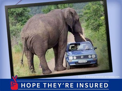 Car Insurance Quotes Elephant