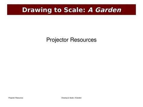 Draw up a shortlist of your favourite plants. Drawing to scale: a garden | STEM