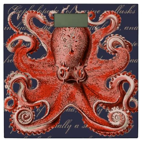 Flat vector for print or children book. Coral Pink Vintage Octopus Sea Creature Bathroom Scale ...
