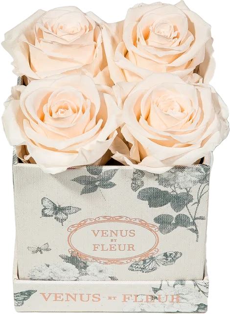 Maybe you would like to learn more about one of these? Design Your Venus et Fleur® Rose Arrangement | Rose ...