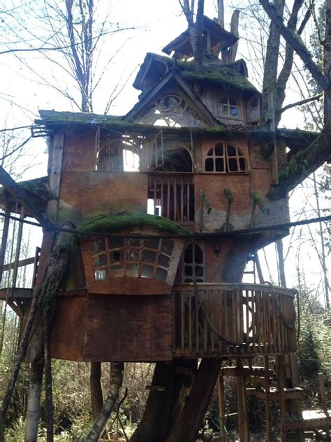 Cabins to rent in washington & treehouses to rent in washington. The Treehouse that Nobody Wanted (With images) | Tree ...