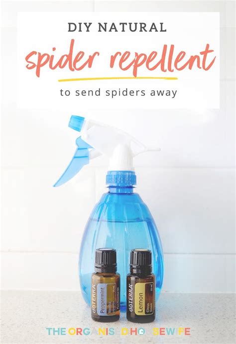 Do you have spiders roaming your house? DIY Natural Spider Repellent - The Organised Housewife ...