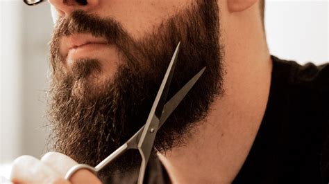 Mbg associate editor by jamie schneider. How Often Should You Trim Your Beard? | JC Grooming