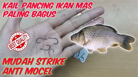 mata pancing ikan gabus