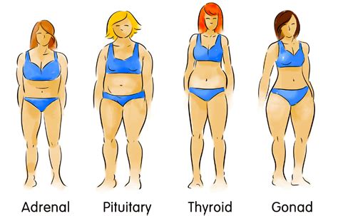 Even with the best beauty advent calendars on hand. What is my Body Type?-The Body Type Diet