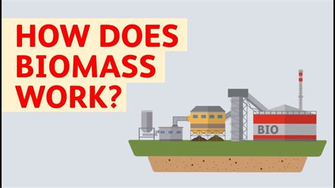 Browse a curated collection of significant advances from nature communications. How Does Biomass Work? - YouTube