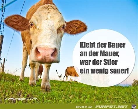 Geburtstagswünsche lieb wünsche für geburtstag. Pin auf tschüss