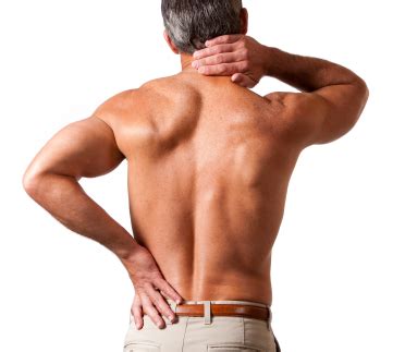 Back muscles reference | male. Neck & Back Pain
