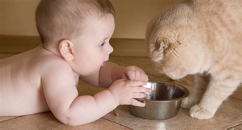 Pet allergies | BabyCenter