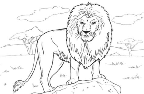 Realistic mountain lion coloring pages. Animal Coloring Pages: 10+ handpicked ideas to discover in ...