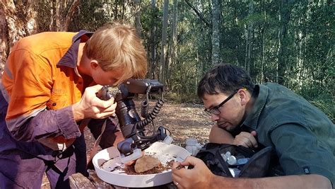 Am 9.juli 2020 fand der srf 1 donnschtigjass im freilicht museum ballenberg statt. Forschung zur giftigsten Spinne der Welt in Australien ...