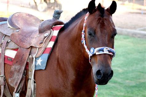 Our goal has always been to raise funds for horses and horse rescue. Hand beaded mule tape red white and blue horse halter ...