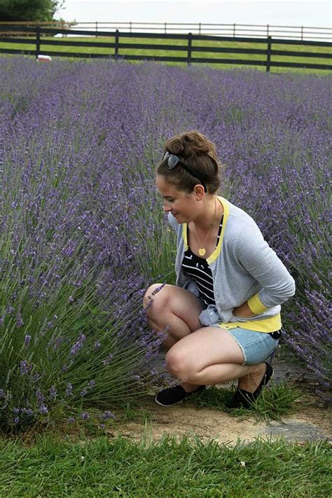 A harrisonburg thrift store on a mission. visiting a virginia lavender farm | Lavender farm ...