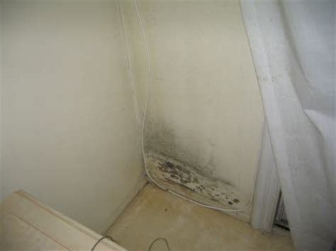 If your bedroom is the area that is affected, then the situation becomes even more hazardous because of your close proximity to the fungus. Typical Mold Findings that may cause health problems for ...