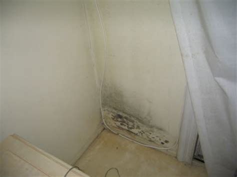 Those with allergies or sensitivities to such things may experience worsened symptoms sleeping in the room. Typical Mold Findings that may cause health problems for ...