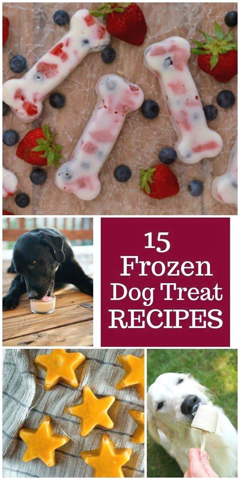 Though she's known more in the blogosphere for developing delicious baked goodies for humans, joy gives the same attention to detail in this recipe for her best feline friend. Pin by Cynthia Ellis on Puppy Love | Frozen dog, Diy dog ...