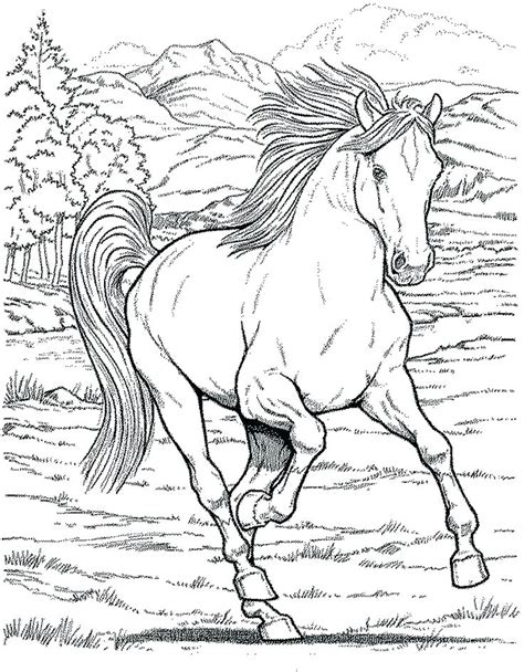 The core of knight rider is its four television series: Horse And Rider Coloring Pages at GetColorings.com | Free ...