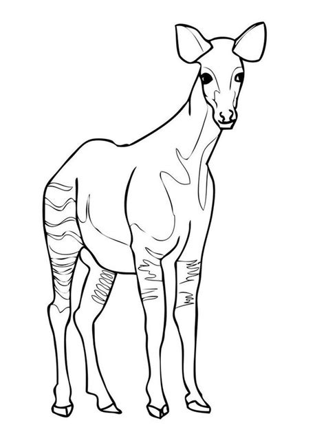 This animal is named okapi. Okapi Coloring Pages Image | Zoo animal coloring pages ...