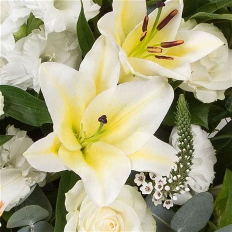 Our arrangements are made with premium blooms and can be delivered to funerals hours after there are several different types of sympathy floral arrangements from which to choose. Service Arrangement - Funeral Flowers Northwich