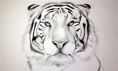 Téléchargez cette vidéo gratuite sur tigre dessin à la main peinture de la vaste bibliothèque d'images et de clips vidéo de pixabay. dessin de tigre - Les dessins et coloriage