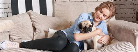 Does your dog have separation anxiety? Do Pugs Get Separation Anxiety? And A Look At What It Is