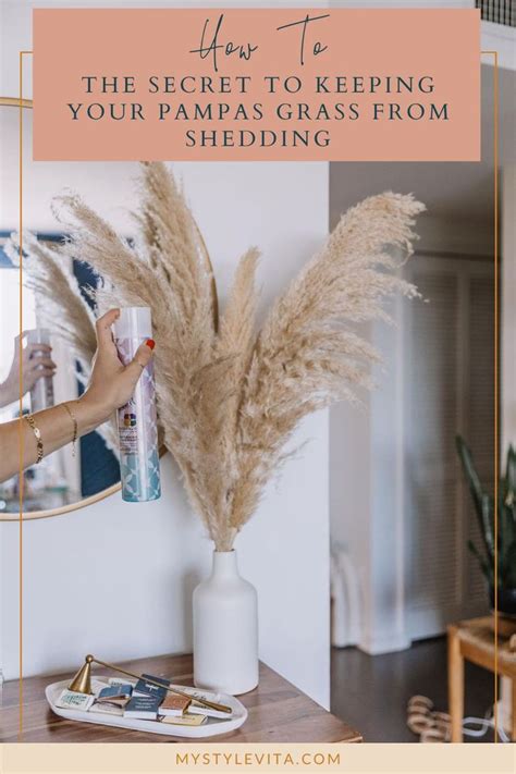 Pampas grass — also known by its scientific name, cortaderia selloana — is the year's newest (and most surprising) trend. How To Keep Your Pampas Grass From Shedding | Pampas grass decor, Pampas grass, Pampas grass care