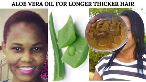 Have you tried an oil for hair? ALOE VERA OIL FOR LONGER, STRONGER AND THICKER HAIR GROWTH ...