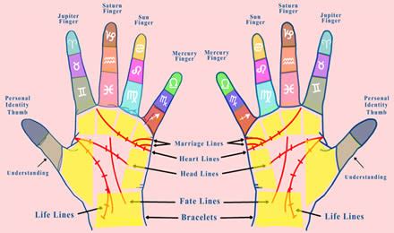 The name nassib has six characters. Palmistry - Seni Membaca Nasib dengan Garis Tangan ~ Life