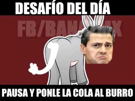 Hay que decidir cul es la zona de juego y que nadie podr salirse de ella. Poner la cola al burro - YouTube