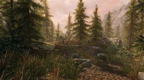 Skyrim script extender special edition. Skyrim Script Extender Will Bring Old Mods To Special Edition