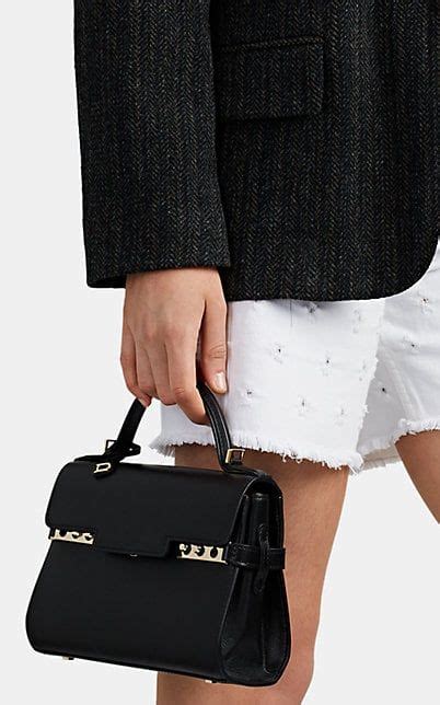 In 1829, a year before belgium declared its independence, charles delvaux opened a travel goods workshop and store in brussels. Delvaux Tempête Mini Satchel - Mini Bags - 504714363