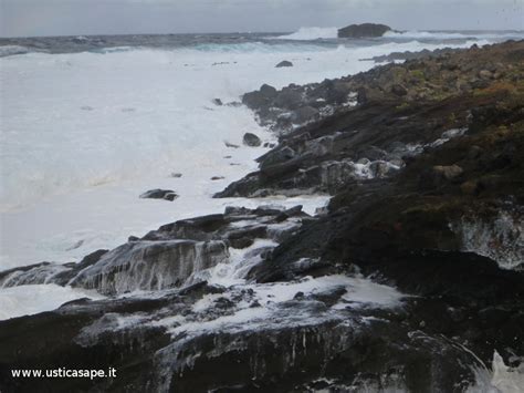 Maybe you would like to learn more about one of these? Ustica scogli piatti, mare mosso - Ustica sape