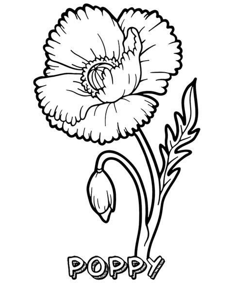 With more than nbdrawing coloring pages nature, you can have fun and relax by coloring drawings to suit all tastes. Printable poppy flower coloring page | Poppy coloring page ...