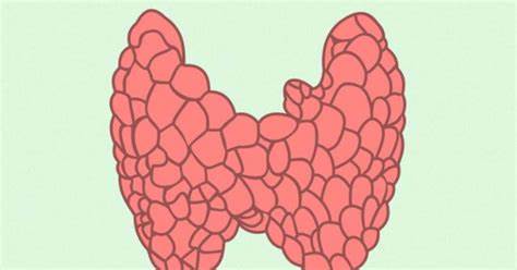 После родов не могу похудеть какие гормоны