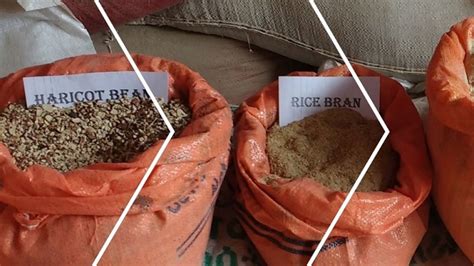 The section has over 1,000 hectares of land, on which feed crop is raised to. Ethiopia: Urilizing agro-industrial by-products (AIBPs) as ...