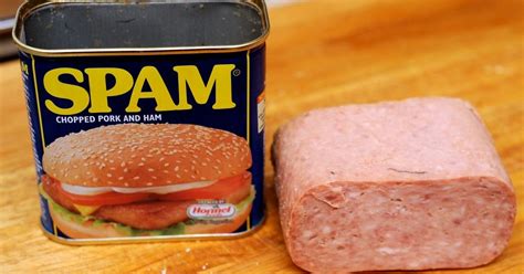 What does spam stand for? Do you like spam? : Internet_Box