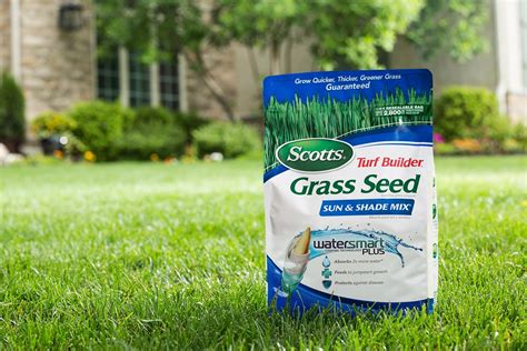 We did not find results for: Scotts Turf Builder Grass Seed - Sun and Shade Mix, 3-Pound