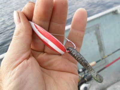 With the wobbling back and forth motion and the fixed single hook facing up, it cute through the weeds easily. Bow Narrows Camp Blog on Red Lake Ontario: Johnson Silver ...