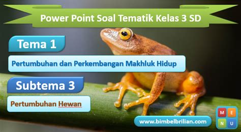 Tumbuhan berikut yang hidup di dalam air ialah … a. Power Point (PPT) Soal Tema 1 Kelas 3 SD Subtema 3 ...